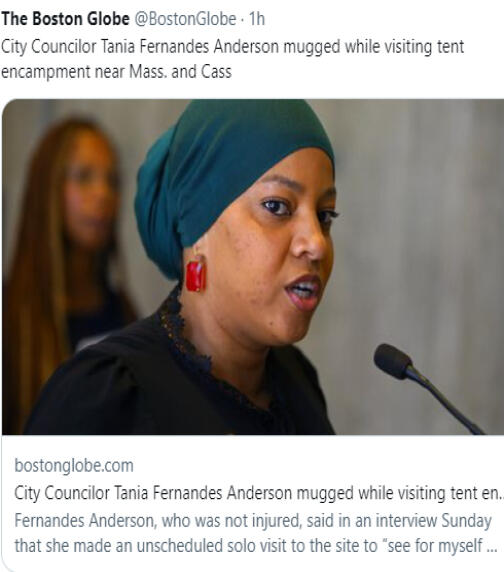 Boston City Councilor Tania Fernandes Anderson was mugged as she stopped near Atkinson Street Saturday night to observe the conditions at a tent encampment in the area known as Mass. and Cass