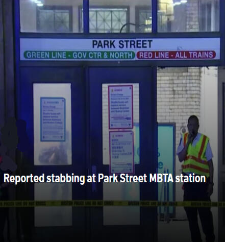 Loved ones of Jazreanna Sheppard, South Boston woman stabbed near Common, seek justice and support from the community